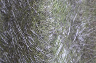 Corrigall fibreglass roof work